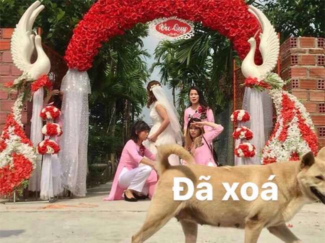 Nhờ dân mạng sửa ảnh cho đỡ sứt mẻ tình chị em, 4 cô gái lặng câm với series chế cười đau ruột - Ảnh 15.