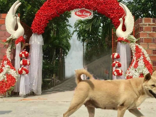 Nhờ dân mạng sửa ảnh cho đỡ sứt mẻ tình chị em, 4 cô gái lặng câm với series chế cười đau ruột - Ảnh 16.