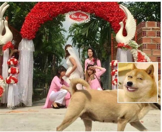 Nhờ dân mạng sửa ảnh cho đỡ sứt mẻ tình chị em, 4 cô gái lặng câm với series chế cười đau ruột - Ảnh 4.