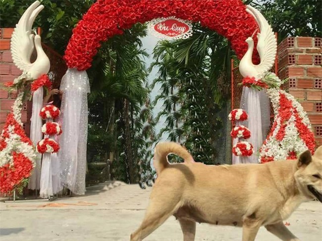 Nhờ dân mạng sửa ảnh cho đỡ sứt mẻ tình chị em, 4 cô gái lặng câm với series chế cười đau ruột - Ảnh 9.