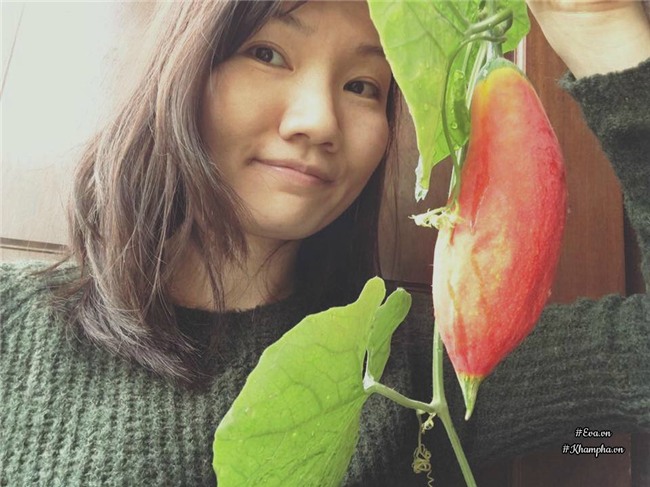 ban cong chi 5m², me ha noi van trong duoc ca vuon sai triu rau cu ti hon doc la - 1