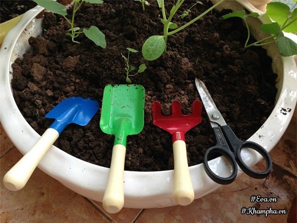 ban cong chi 5m², me ha noi van trong duoc ca vuon sai triu rau cu ti hon doc la - 19