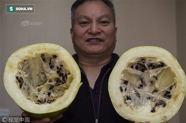 Để suốt 3 năm, quả dưa hấu vẫn tươi như mới mua ở chợ về - Ảnh 1.