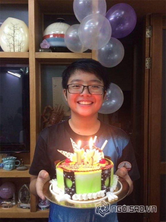 sao việt, con trai thảo vân, sinh nhật con trai thảo vân