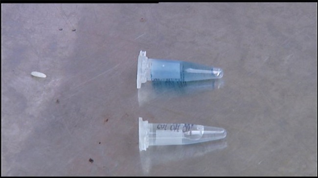 Vụ rau ở bếp ăn trường mầm non dương tính với thuốc bảo vệ thực vật: Do mưa mang chất độc hại đến?