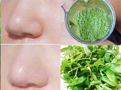 Luu ngay cong thuc lam dep da, lap day mun ro bang la rau ram sieu don gian