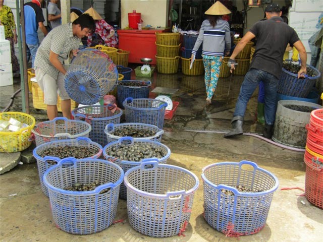 ốc bươu vàng, nông dân làm giàu