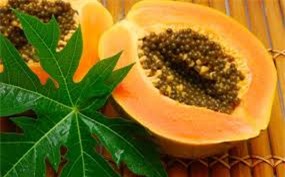 phat hien bat ngo ve tac dung cua du du it duoc noi den - 1