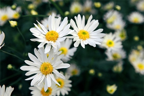 Lời tiên tri chuẩn xác cho 12 cung Hoàng đạo trong tháng 11 - Ảnh 2.