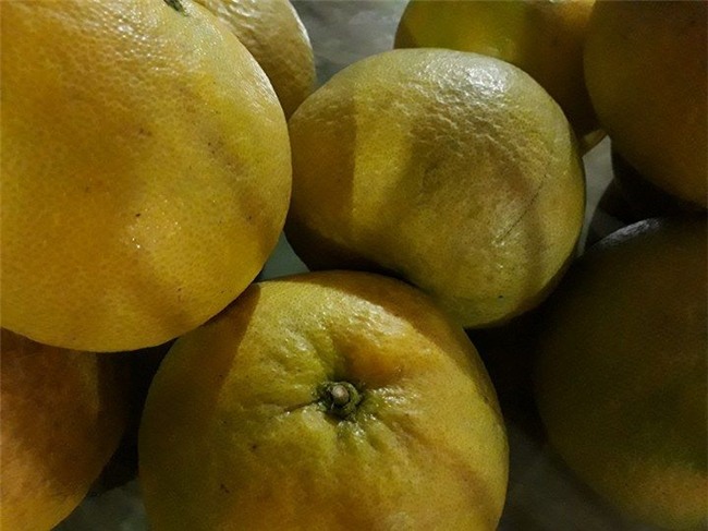 man nhan vuon buoi do 40.000 qua thom lung,