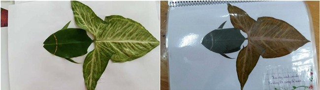 sáng tạo,đổi mới sáng tạo