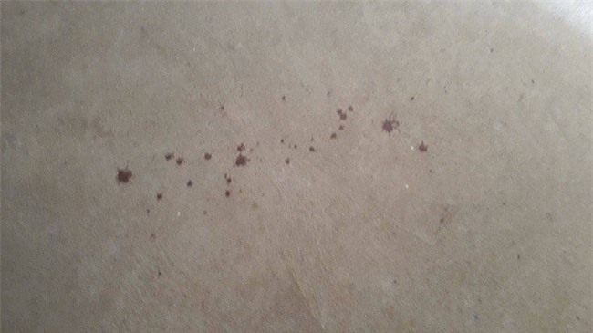 Cận cảnh hiện trường vụ nam thanh niên nghi bị đạn lạc bắn trúng cổ - Ảnh 8.