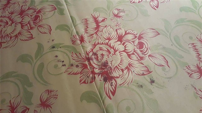 Cận cảnh hiện trường vụ nam thanh niên nghi bị đạn lạc bắn trúng cổ - Ảnh 7.