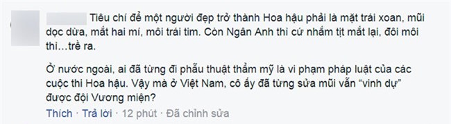 “nem da” hoa hau dai duong 2017 co the bi xu phat - 2