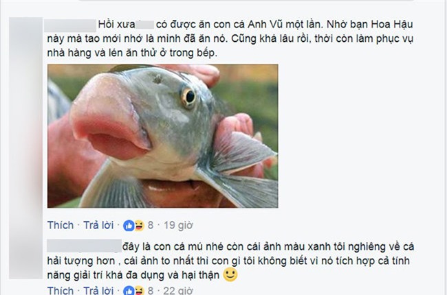 “nem da” hoa hau dai duong 2017 co the bi xu phat - 3