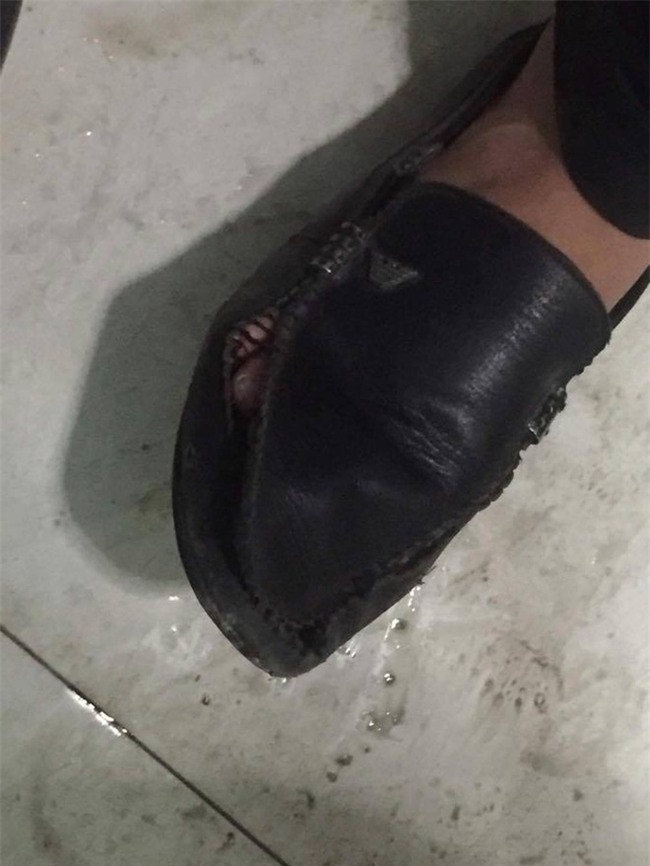 Nuôi phải chú thỏ cầm tinh con chó, khổ chủ uất ức lên mạng rao sang nhượng - Ảnh 3.