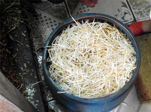 Những thực phẩm Việt thường được ủ hóa chất lạ của Trung Quốc bán “nhập nhèm” ở các chợ