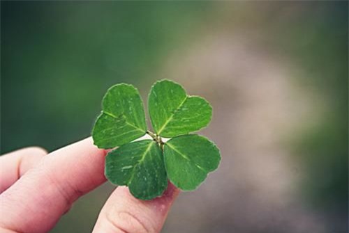 bestie-con-giap-xui-xeo