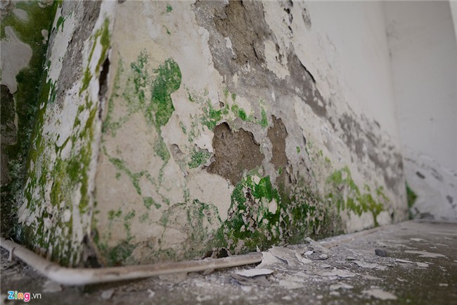 dự án bỏ hoang,nhà tái định cư,nhà ở xã hội