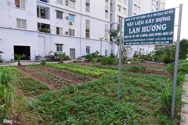 dự án bỏ hoang,nhà tái định cư,nhà ở xã hội