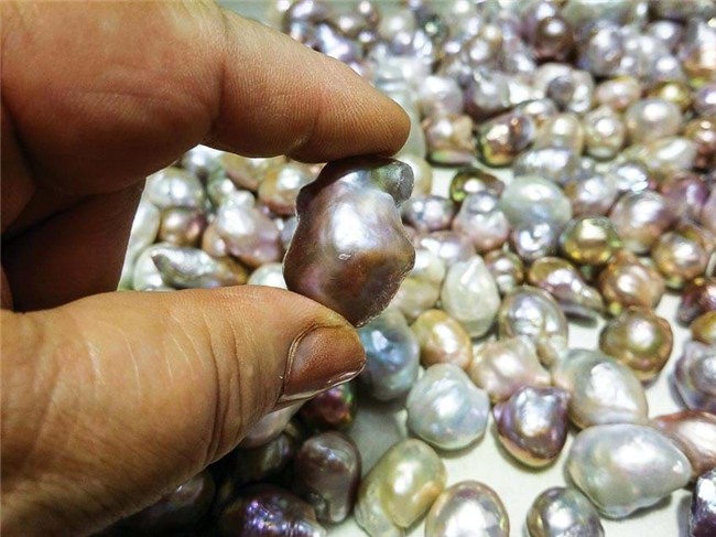 ngọc trai,ngọc quý