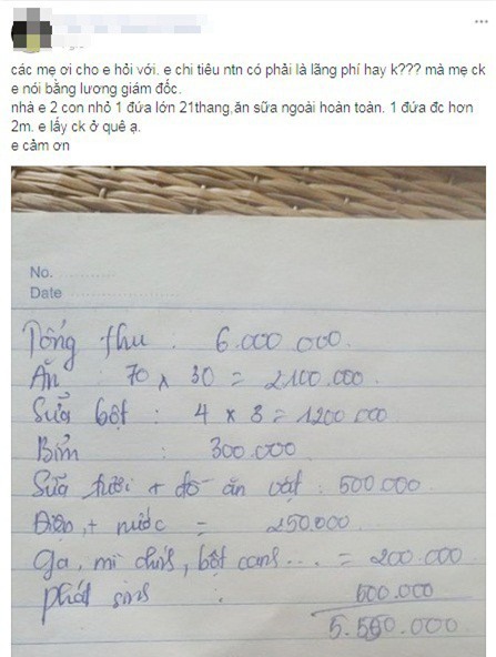 Tổng thu cả tháng 6 triệu, mẹ trẻ nhịn miệng nuôi 2 con bằng bỉm sữa xịn gây tranh cãi - Ảnh 1.