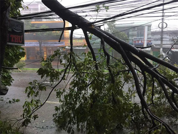 cap nhat bao so 12: bao giat cap 15 dang do bo dat lien, tuy hoa mat dien hoan toan - 2