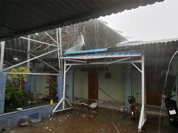 chum anh: gio giat dien cuong o nha trang, xe may bi quat nga la liet giua duong - 9