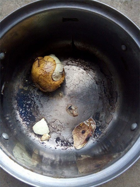 Chết cười với những tình huống trớ trêu não cá vàng của mẹ bỉm sữa sau sinh - Ảnh 5.