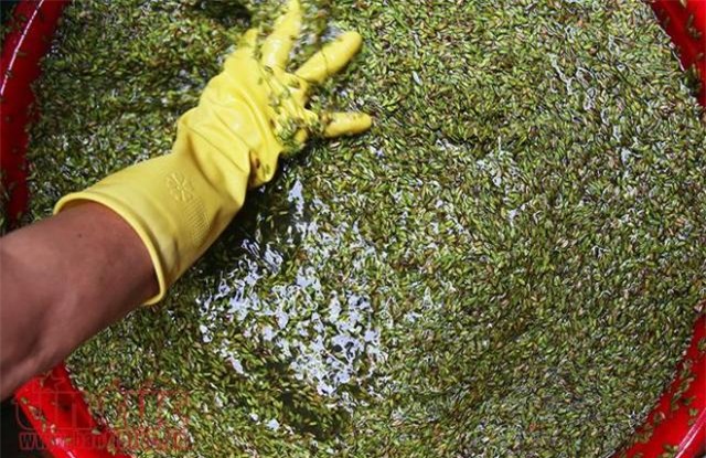 can canh tu a - z quy trinh lam com thom nuc cua lang com me tri hinh anh 1