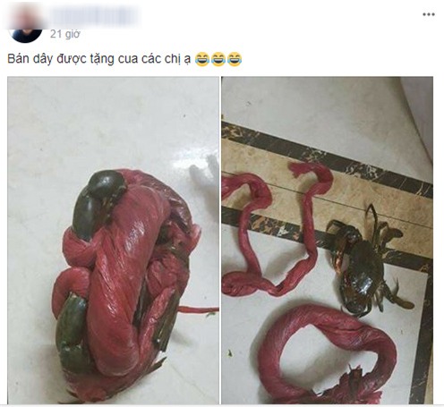 khoai lang,đặc sản nhà giàu,Iphone X,giá ô tô,hồng Đà Lạt,dừa Xiêm,cá quý hiếm,thủy quái,cây cảnh,cây cổ thụ,cua biển