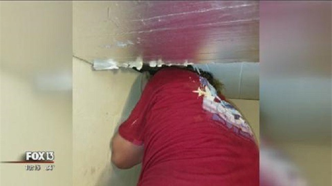 Thấy tiếng ồn trên tầng gác mái suốt nhiều năm, cặp vợ chồng gặp phải cảnh tượng đáng sợ - Ảnh 1.