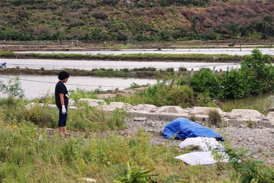 hau bao so 12: khanh hoa tan hoang nhu binh dia, nguoi chet tang khong ngung - 9