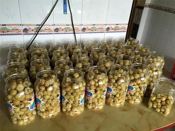 mắc kham,đặc sản Tây Bắc,đặc sản rừng