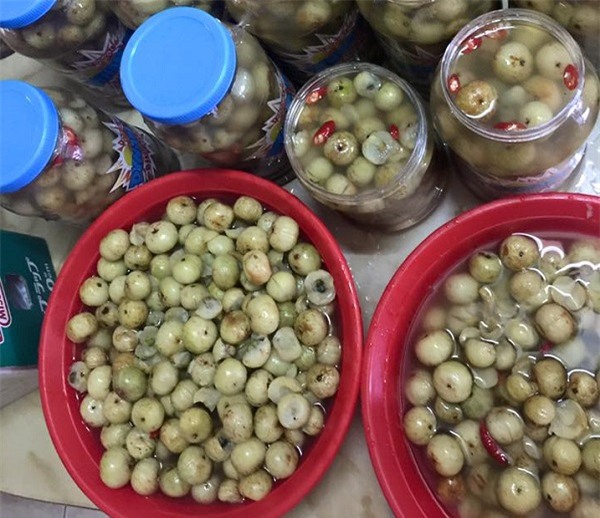 mắc kham,đặc sản Tây Bắc,đặc sản rừng