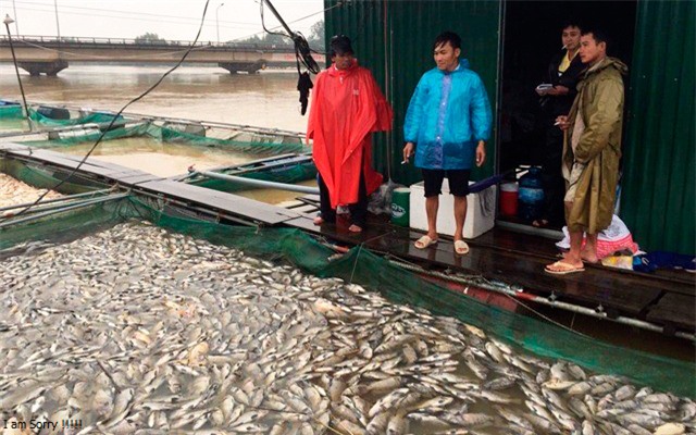 Phút thoát chết của người đàn ông bị lũ cuốn 10km cùng bè cá