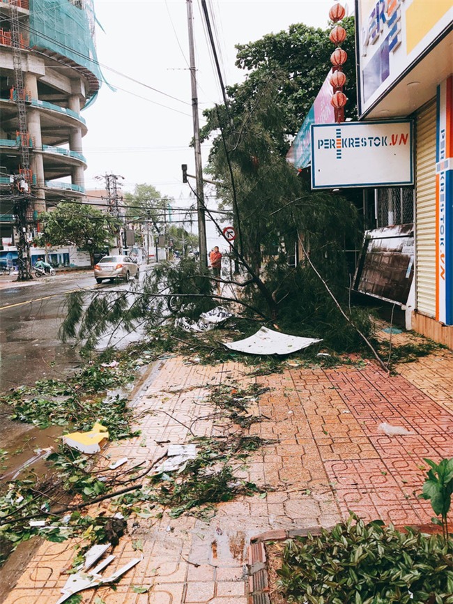 Sân khấu Hoa hậu vẫn rực rỡ đèn ở nơi người dân ngập trong bão lũ: Khi cái đẹp trở thành thứ vô cảm trước nỗi đau! - Ảnh 3.