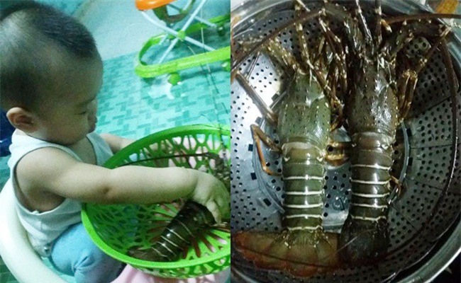 Con mới 1 tuổi, tháng nào mẹ cũng chi riêng 15 triệu tiền tẩm bổ, mua quần áo, đồ chơi