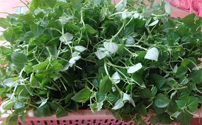 Rau càng cua đắt hơn thịt, nhiều nước xem là 