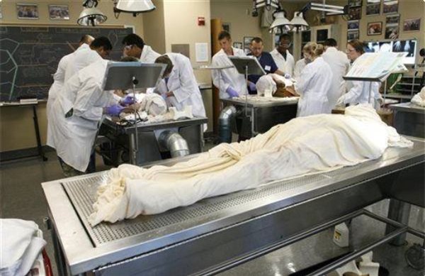 Theo chân phóng viên Reuters đi tìm sự thật đằng sau những công ty buôn nội tạng người tại Mỹ - Ảnh 6.