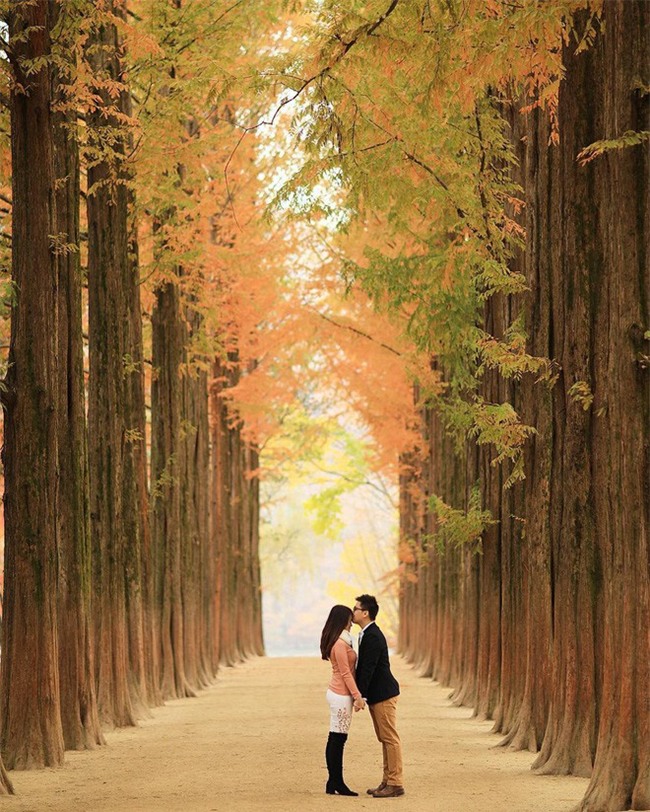 Những điểm chụp ảnh cưới đẹp lung linh cho người mê lá vàng, lá đỏ - Ảnh 10.