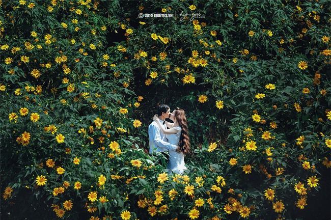 Những điểm chụp ảnh cưới đẹp lung linh cho người mê lá vàng, lá đỏ - Ảnh 15.