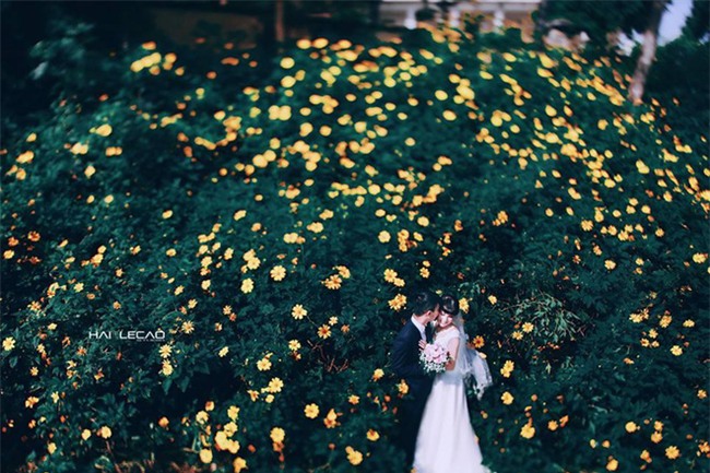 Những điểm chụp ảnh cưới đẹp lung linh cho người mê lá vàng, lá đỏ - Ảnh 20.