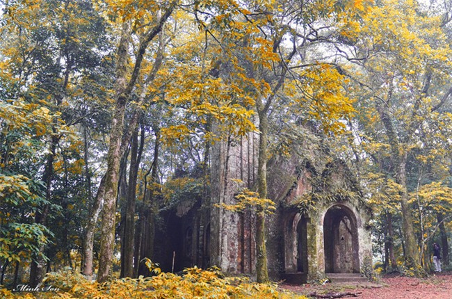 Những điểm chụp ảnh cưới đẹp lung linh cho người mê lá vàng, lá đỏ - Ảnh 21.