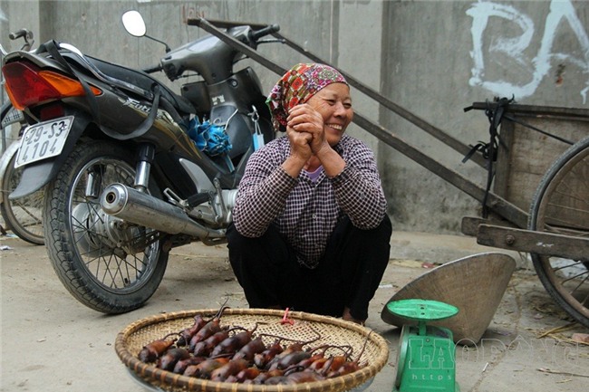 chuột đồng,thịt chuột