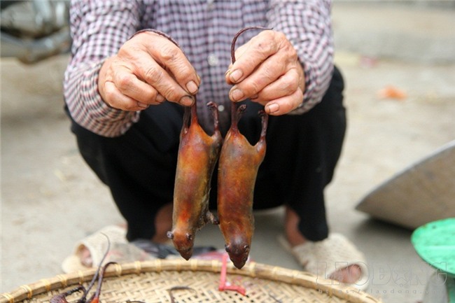 chuột đồng,thịt chuột