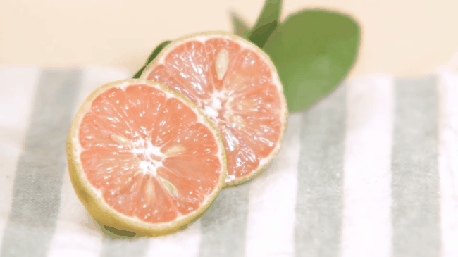 cach ngam chanh dao mat ong chuan nhat de tri ho hieu qua mua lanh - 1