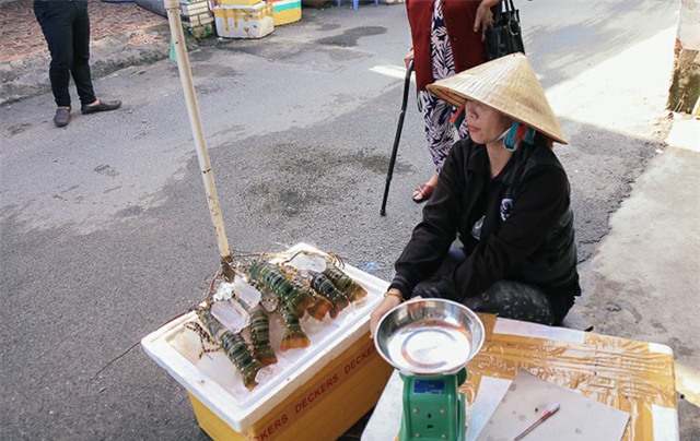 Người dân vùng bão gửi tôm hùm vào Sài Gòn bán tháo kiếm tiền sửa nhà