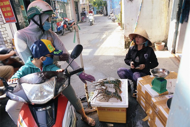 Người dân vùng bão gửi tôm hùm vào Sài Gòn bán tháo kiếm tiền sửa nhà