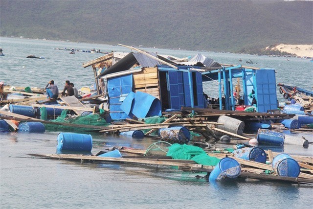Người dân vùng bão gửi tôm hùm vào Sài Gòn bán tháo kiếm tiền sửa nhà